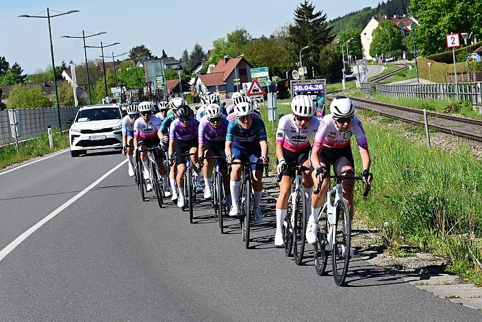 Damen Elite, U23, Road Cycling League Austria