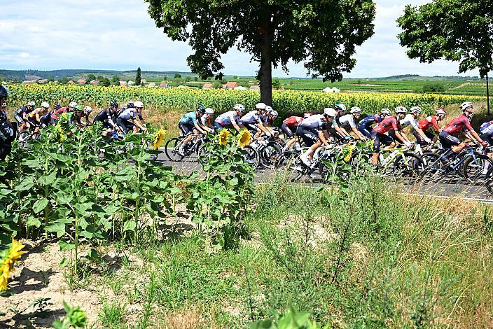 5. Etappe von Langenlois nach Wien, 109km, Tour of Austria