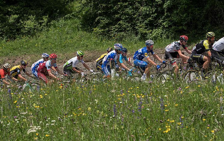 Thibaut Pinot (FRA, Groupama - FDJ) Tolmezzo -  Sappada 176km