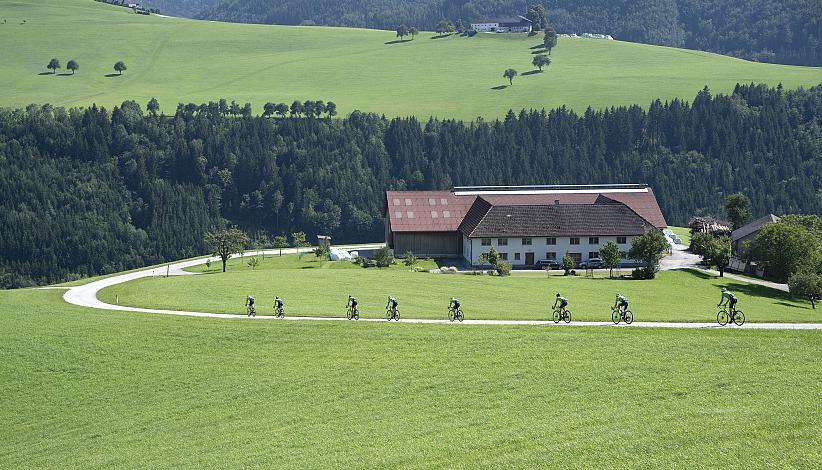 Rennrad in Oberösterreich, Team Hrinkow Advarics Cycleang,  Hrinkow Rennrad