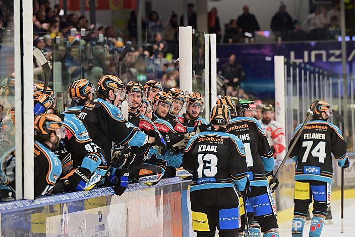 Die Steinbach Black Wings Linz feiern das Tor zum 1  zu 0 durch Greg Moro (Steinbach Black Wings Linz) Win2Day ICE Hockey League,  Steinbach Black Wings Linz vs HCB Suedtirol Alperia ,  Linz AG Eisarena