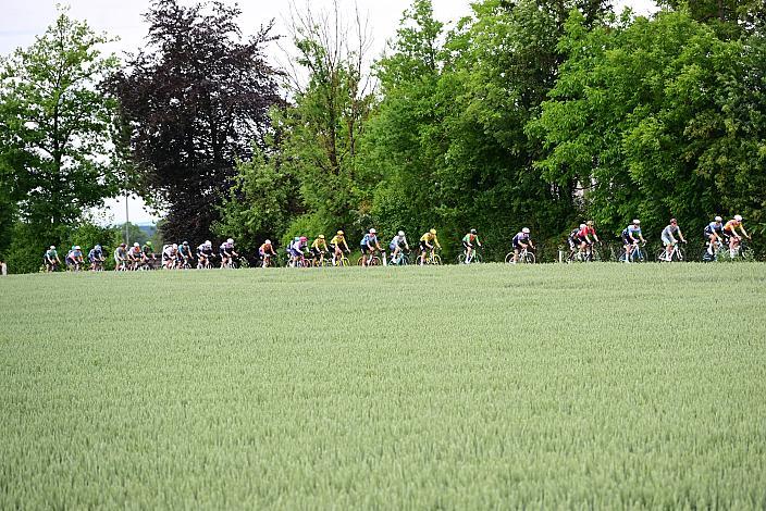 Das Peloton unterwegs im Traunviertel  3. Etappe Asten - Bad Schallerbach, Oberösterreich Rundfahrt