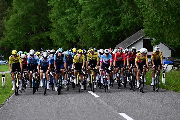Das Peloton unterwegs im Mühlviertel 4. Etappe Aigen - Schlägl - Aigen - Schlägl, 16. Int. Oberösterreich Rundfahrt