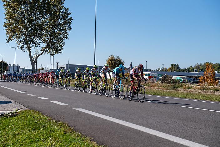 Das Peloton bei Susegana, Veneto Classic, UCI 1.1