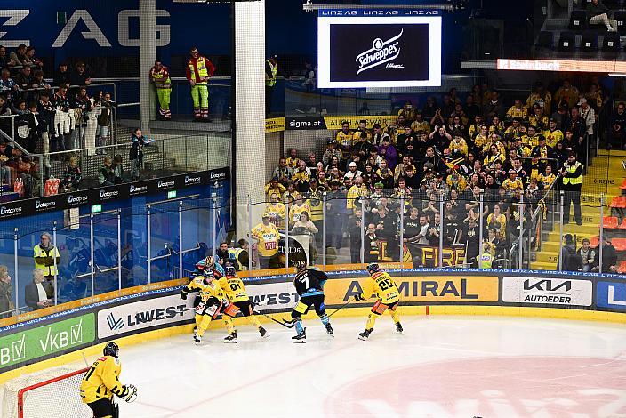 Fans der Vienna Capitals in der Linz AG Eisarena Win2Day ICE Hockey League,  Steinbach Black Wings Linz vs Spusu Vienna Capitals,  Linz AG Eisarena 