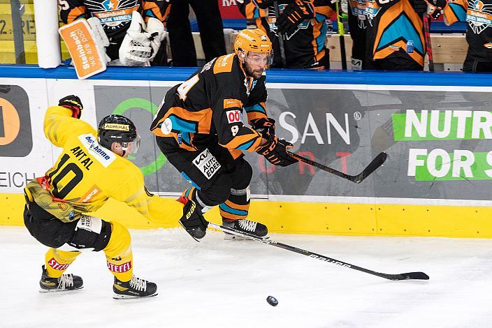 Dragan Umicevic (Steinbach Black Wings Linz) Steinbach Black Wings Linz vs Spusu Vienna Capitals, bet-at-home ICE Hockey League