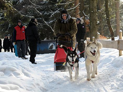 Philipp Lukas mit seinem Gespann, EHC Liwest Black Wings Linz zu Gast auf der Mountain Wulf Farm