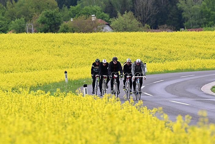 8. Kirschblüten Radklassik, Rad Klassik, Oldtimer, Vintage, Stahlrad, Radsport, Eferding, Oberösterreich
