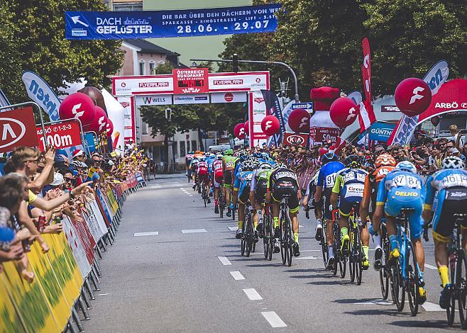 Das Feld im Ziel er Ã–-Tour8. Etappe Scheibbs - Wels 70. Ã–sterreich Rundfahrt 