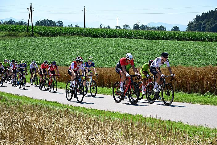 Das Peloton bei Bad Wimsbach, 3. Etappe Bad Wimsbach - Strass im Attergau, Int. Oberösterreichische Versicherung OÖ Junioren Oberösterreich Rundfahrt