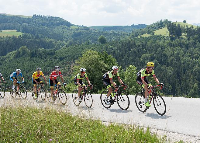 Team Vorarlberg im Anstieg Oberschlierbach, 4. Etappe Traun - Ternberg