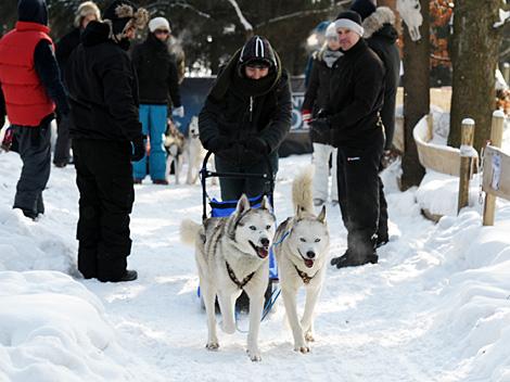 Mike Ouellette, mit seinem Hundegespann, EHC Liwest Black Wings Linz zu Gast auf der Mountain Wulf Farm