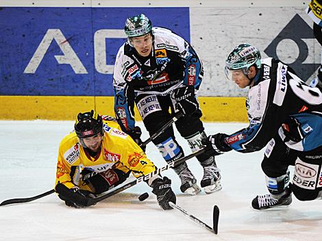 Patrick Spannring und Michael Lebler, Linz, EHC Liwest Black Wings Linz vs. UPC Vienna Capitals