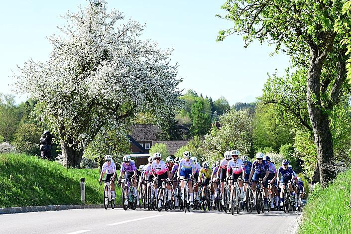 Damen Elite, U23, Road Cycling League Austria, 64. Raika Kirschbluetenrennen, Wels, Oberösterreich