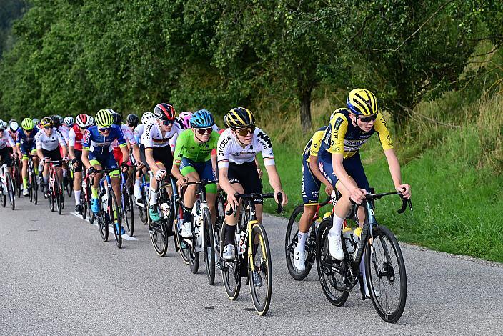 Das Peloton am Mistelbacher Berg, 1. Etappe Marchtrenk  - Marchtrenk, Int. Oberösterreichische Versicherung OÖ Junioren Oberösterreich Rundfahrt