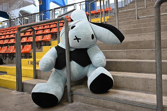 Mit Head Coach Philipp Lukas, den Spielern Raphael Wolf, Niklas Würschl, Logan Roe, Andreas Kristler alle Steinbach Black Wings Linz, übergeben Teddybären an das Kepler Universitäts Klinikum Linz, Linz AG Eisarena 