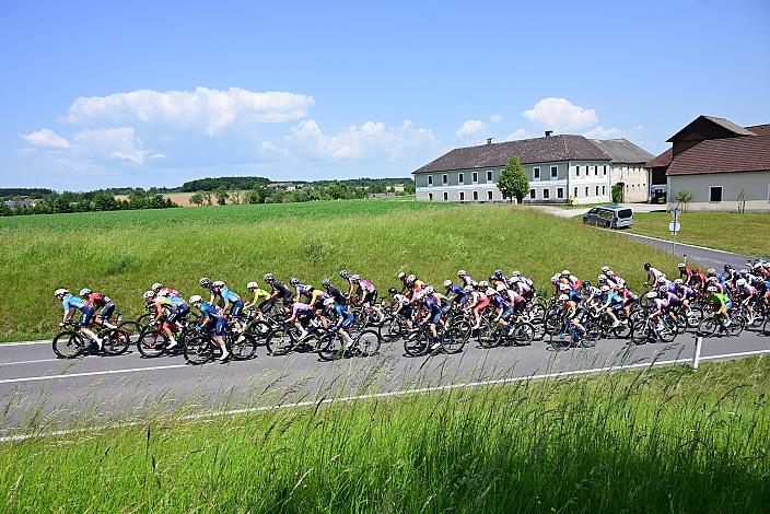 Das Peloton im Mostviertel, Amstetten-Amstetten, Sportland NÖ women tour