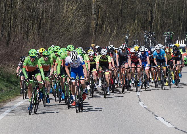 Das Hauptfeld beim Kirschbluetenrennen