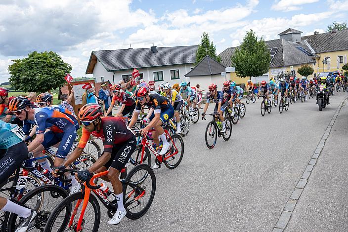 Riccardo Zoidl (AUT, Team Felt - Felbermayr) in St. Leonhard am Forst 73. Tour of Austria, ME 2.1 1. Etappe  Maria Taferl - Steyr 184,5 km