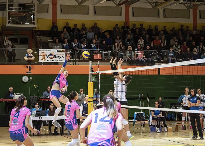 Edina Begic (Saugella Team Monza) SG Prinz Brunnenbau Volleys vs Saugella Team Monza, Volleyball, CEV Challenge Cup 