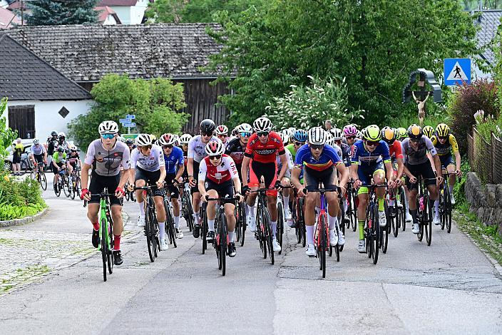 Das Peloton mit Valentin Poschacher (AUT, Regionalteam Oberösterreich) 2. Etappe Sarleinsbach - Sarleinsbach, Int. Oberösterreichische Versicherung OÖ Junioren Oberösterreich Rundfahrt
