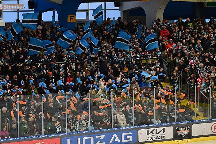 Fans der Steinblach Black Wings Win2Day ICE Hockey League,  1. Viertelfinale, Steinbach Black Wings Linz vs Moser Medical Graz 99ers,  Linz AG Eisarena