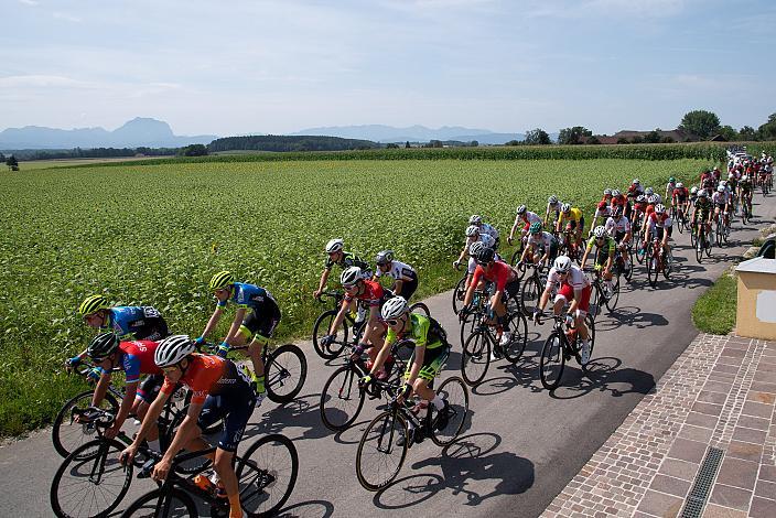 Das Feld der Fahrer bei Bad Wimsbach 46. Int. Keine Sorgen,  Junioren Rundfahrt UCI Kat. MJ 2.1, 3. Etappe Bad Wimsbach/Neydharting - Strass im Attergau