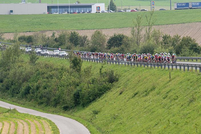 Das Feld bei Arnreit 46. Int. Keine Sorgen,  Junioren Rundfahrt UCI Kat. MJ 2.1, 2. Etappe Rohrbach - Rohrbach