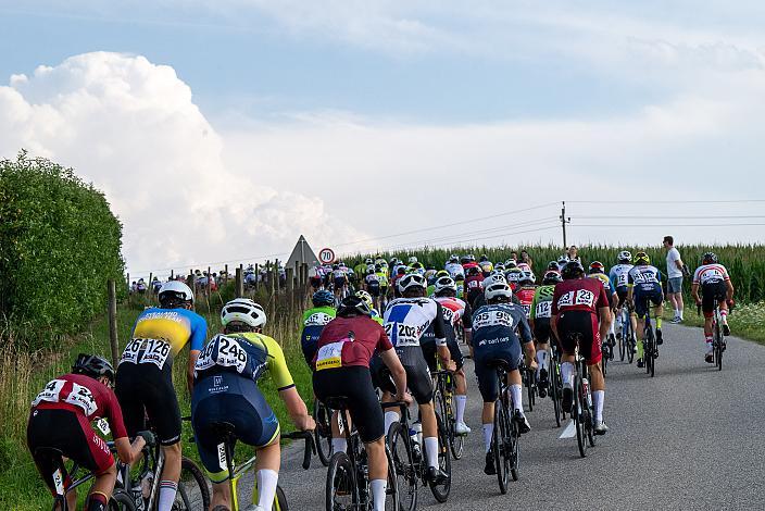 Das Peloton am Mistelbacher Berg, 1. Etappe Marchtrenk  - Marchtrenk, Int. Oberösterreichische Versicherung OÖ Junioren Oberösterreich Rundfahrt