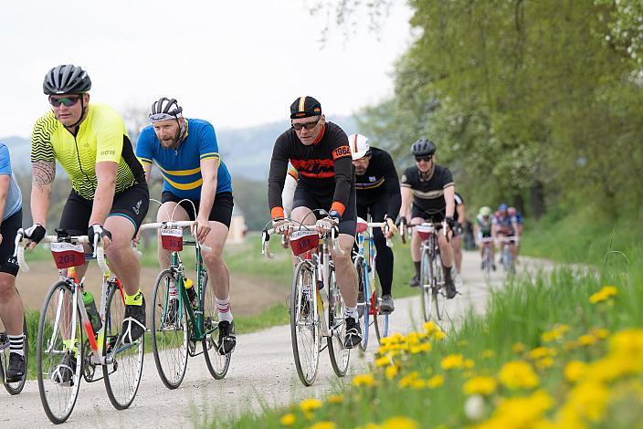 7. Kirschblüten Radklassik, Rad Klassik, Oldtimer, Vintage, Stahlrad, Radsport, Eferding, Oberösterreich