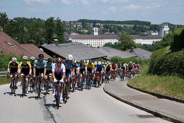 Das Feld zur Bergwertung Baum Mitten in der Welt, bei Kremsmünster, 3. Etappe Traun - Hinterstoder, Int. Raiffeisen Oberösterreich Rundfahrt UCI Kat. 2.2