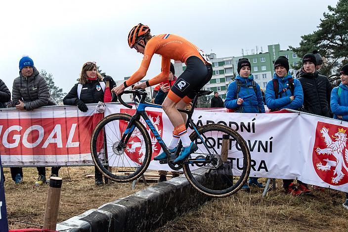 Sieger Nr. 20 David Haverdings (NED), Junioren, UCI Cyclocross World Cup, Tabor CZ