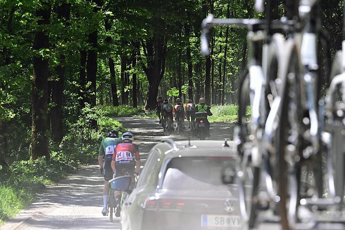 Herren Elite, U23, Road Cycling League Austria
