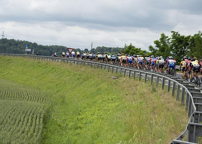 Das Feld kurz nach dem Start in Traun, 3. Etappe Traun - Ternberg, Radsport 10. Int. OOE Rundfahrt  