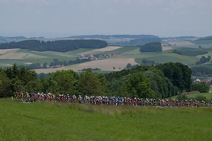 das Peleton bei Lohnsburg 1. Etappe Eferding - Geinberg, Int. Raiffeisen Oberösterreich Rundfahrt UCI Kat. 2.2