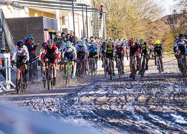 Start Herren, Elite 11. Int. SPARKASSEN Radquerfeldein GP Stadl-Paura - Int. UCI C2 - 8. Dezember 2019