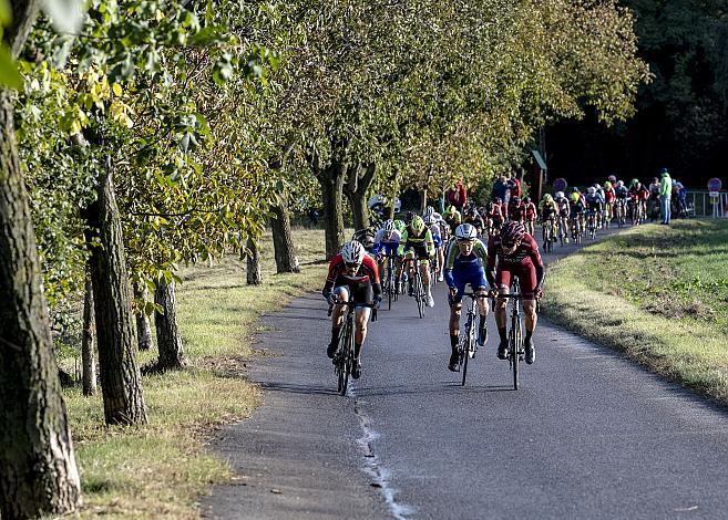 Heurigen Grand Prix, Radsport, Radbundesliga