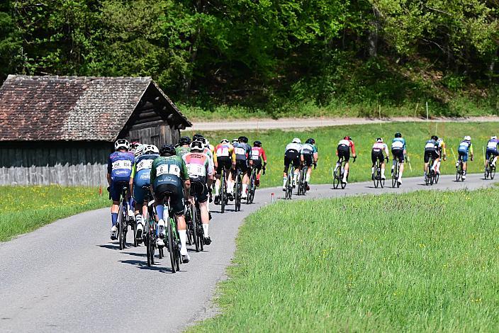 Herren Elite, U23, Road Cyling League Austria, Radliga, GP Vorarlberg, Nenzing