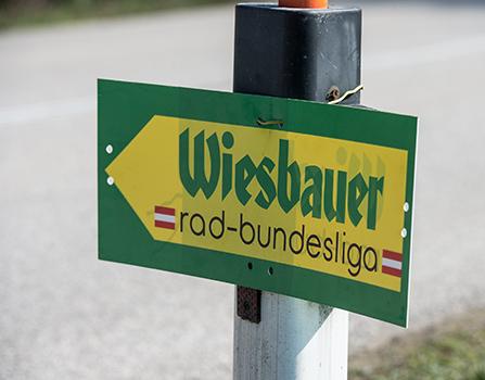 Schild, Wegweiser