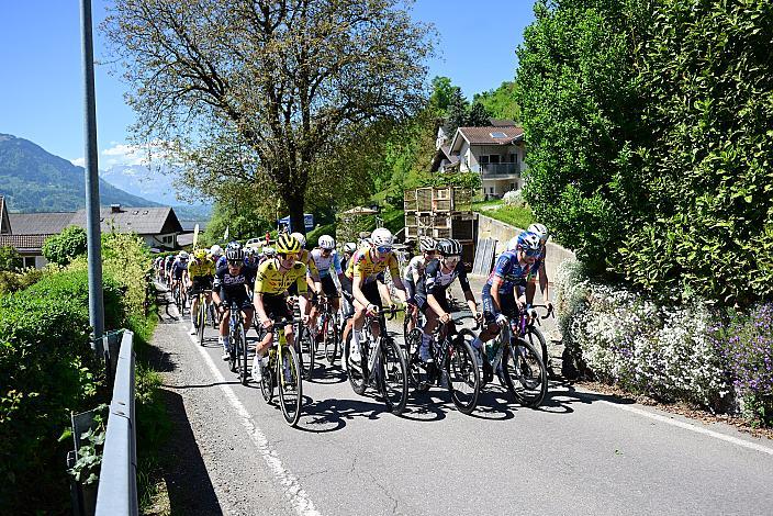 Das Peloton, Herren Elite, U23, Road Cycling League Austria, 15. GP Vorarlberg