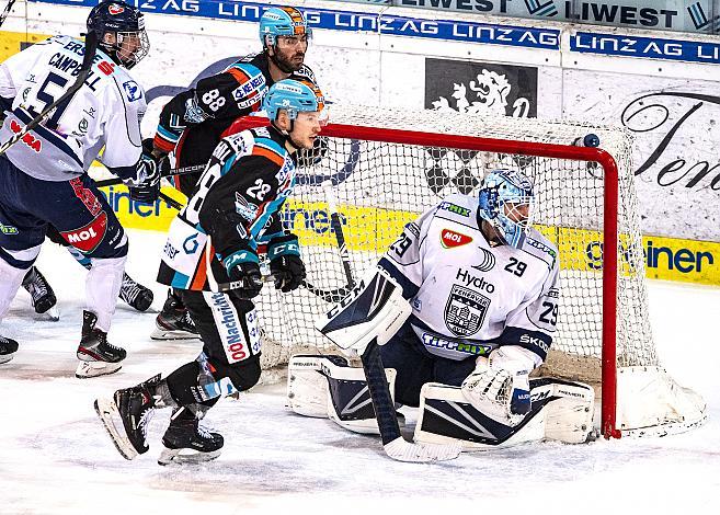 Im Bild: Mark McNeill (EHC Liwest Black Wings Linz), Tormann Michael Ouzas (Hydro Fehervar AV 19) Eishockey,  EHC Liwest Black Wings Linz vs Hydro Fehervar AV 19