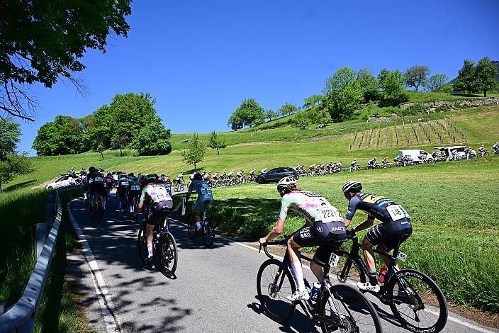 Das Peloton, Herren Elite, U23, Road Cycling League Austria, 15. GP Vorarlberg