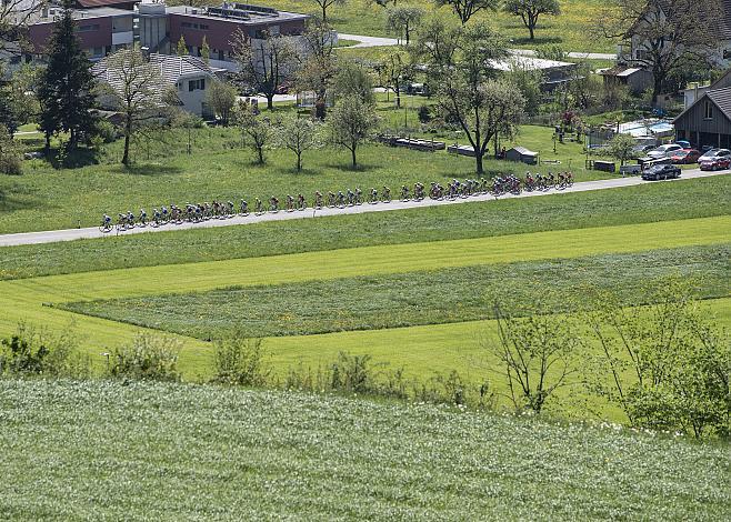 das Hauptfeld  Radbundesliga 2019, Nenzing