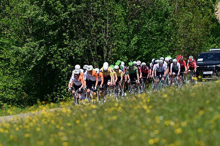 Herren Elite, U23, Road Cycling League Austria