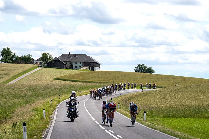 Das Peloton auf der 2. Etappe unterwegs von , Wels nach Aigen - Schlägl, 14. Int. Raiffeisen OÖ-Radrundfahrt UCI Kat. 2.2