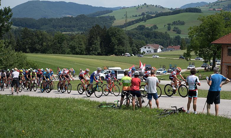 Das Feld bei Ternberg 4. Etappe Traun - Ternberg