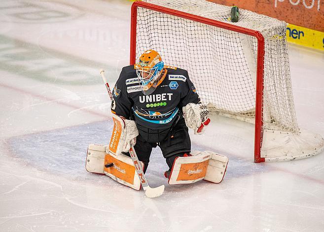 Tormann Luca Gracnar (Steinbach Black Wings 1992) Black Wings Linz vs Hydro Fehervar AV 19,  Eishockey, Bet at Home ICE Hockey League