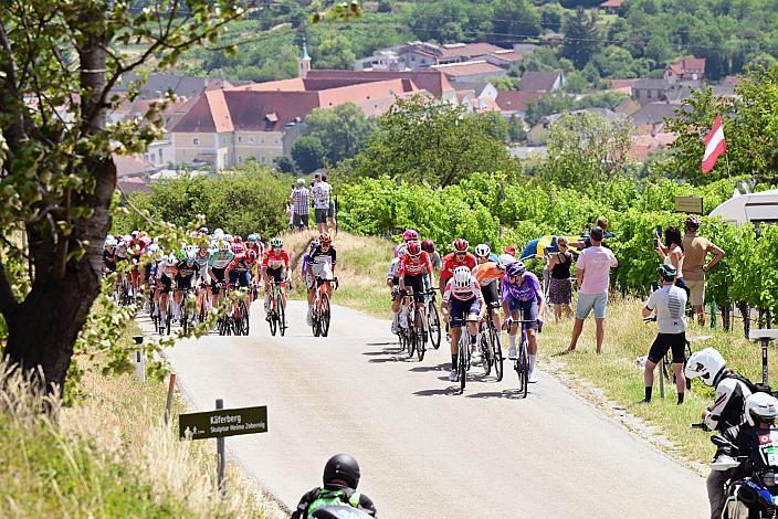 5. Etappe von Langenlois nach Wien, 109km, Tour of Austria
