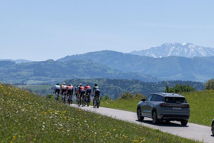 Herren Elite, U23, Road Cycling League Austria