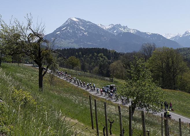  Das Feld beim GP Vorarlberg, Radbundesliga 2019, Nenzing